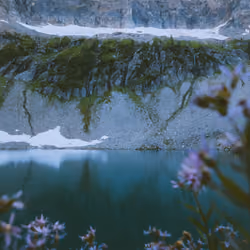 Summers in the Alpine 9