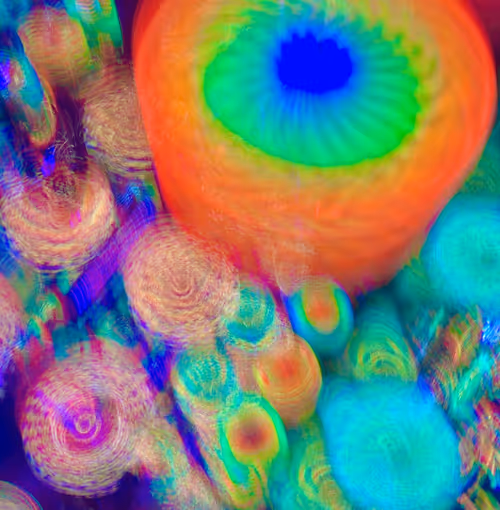 Item #51690675638909644790966826113213763437997288927381309606437552005586050088961 Media