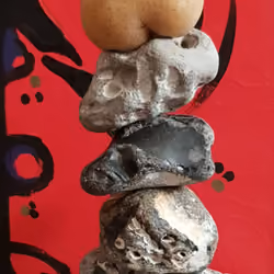potato "Linda"