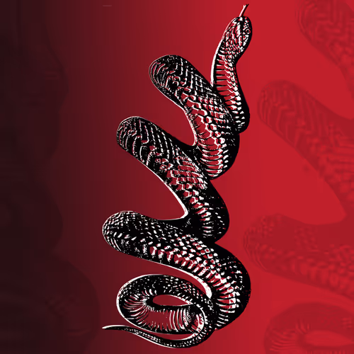 Item #3230994765217088552211970455400873689197329769561323673268329304968222736385 Media