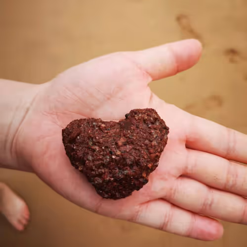 Untitled Collection #36426257