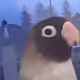 57648704657883384174206259852845635434286278933481328957170245899883586256897