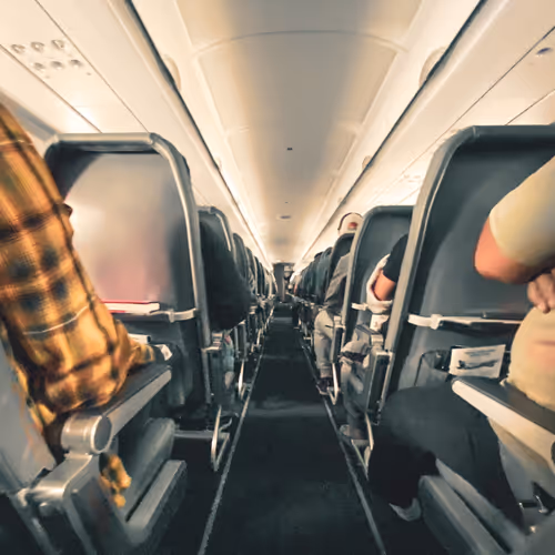 Pandemic Flight