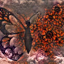 buttefire