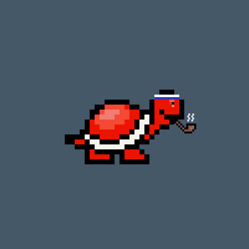 Turtle #495