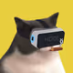 92303754708890637460830726684637459069028556254635882445686512739061847818241