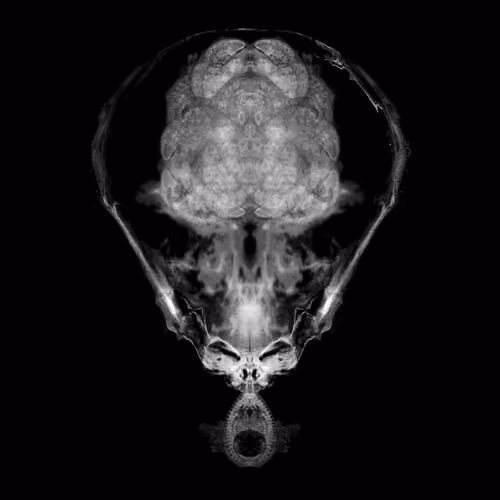 Alien Embryo - 202 of 2000
