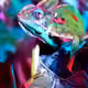 80582565841232885618488606905382920859920850180972770788879090907805416161281