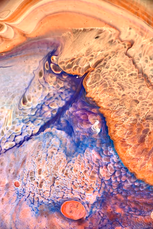 Item #199348557745545512943347160139758734699136135801198035903809505930925572097 Media