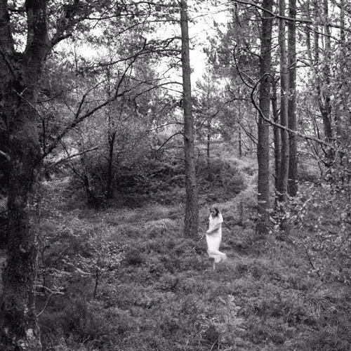 Item #48679334386113124300228803264312006813503011651693068006927871324224829259777 Media