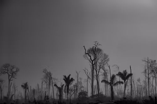 Item #85988873436374228871074678690763106864667139915174852113461059875563687116801 Media