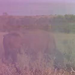 105089968166921690156624725616502706642431777719922472152070405785434453966849