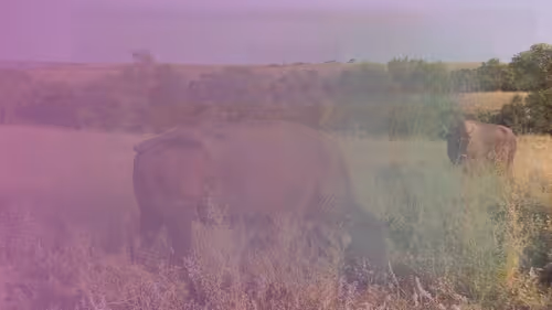 Item #105089968166921690156624725616502706642431777719922472152070405785434453966849 Media