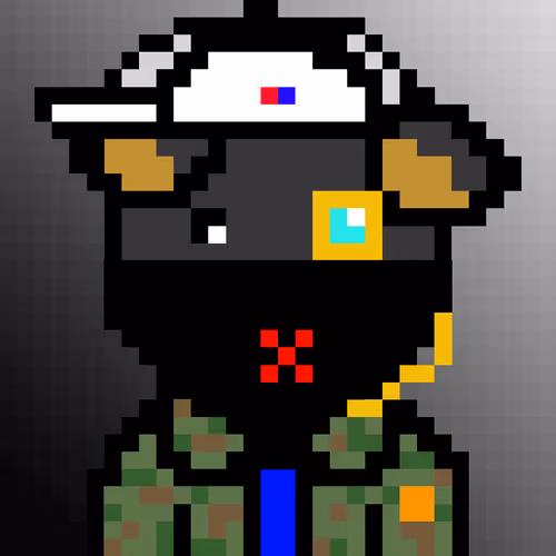 Spacebearsofficial