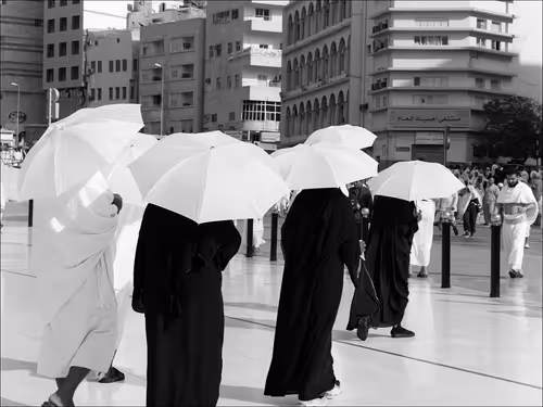 Item #104023740810564835841193669155962903667755292724793948450672365528652378537985 Media