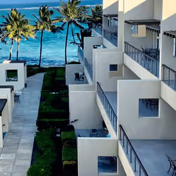 WDW 66