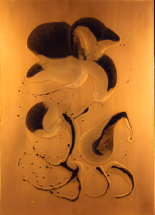 Item #108720101926881500504444181750674817429130040103745024839207986528325591891969 Media