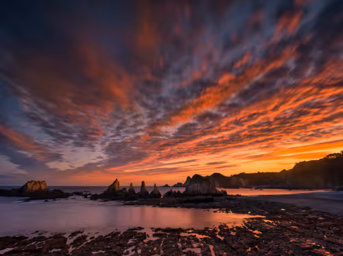 Item #33905874090819082513688943538230910820806372635716531311002980227830331211777 Media