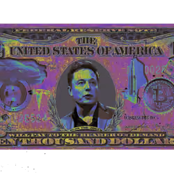 The CryptoCash Collectible #04 : Elon's Life Vision - Pink/ Yellow 