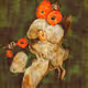 78787411060499508099527246712164773641766709094441428428683889364813102448641