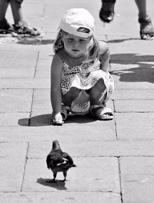 Item #40449787652065743018640773044495240111019622512701765753694832957672348712961 Media