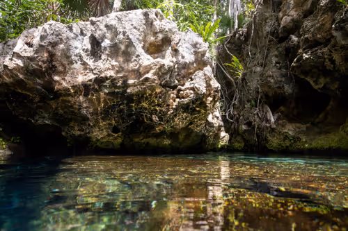 Item #25422583313571458459737529461820134862175223810011730482418987916746444242945 Media