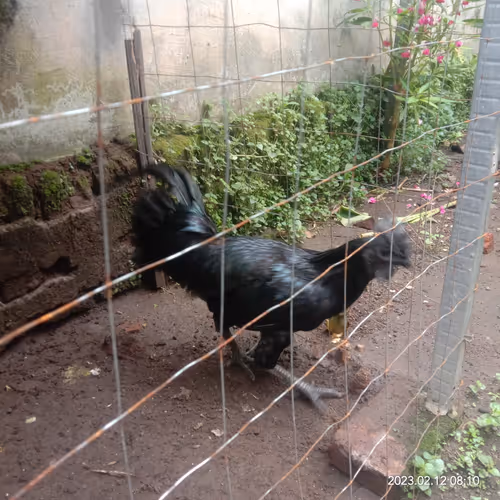 Item #15416064837448188610247350204521494909343598378477019548960405615809482719233 Media