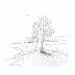 13934243290529806368964585825036521935178473085357694684673957312900825612289