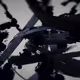 25493570172043083971860345894473149416415413242753721544146315437955059023873