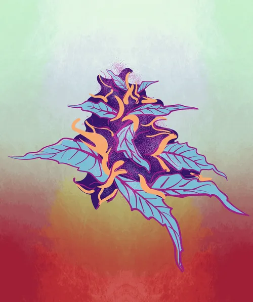 Item #88173920956366532206384104525204378846175092179682069740847406079332841422849 Media