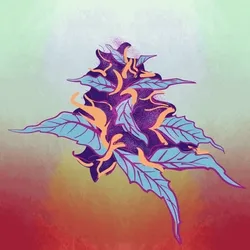 Forbidden Fruit
