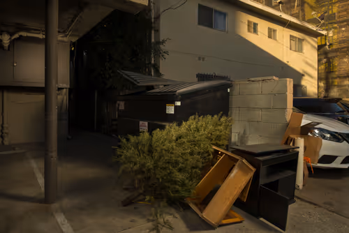 Item #97596376492587480991564299989885194485729582935183473269224319414649934053377 Media