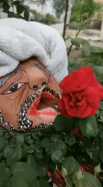 Item #98297886293652092657371597788592247398680073041274723207675992694220725944321 Media