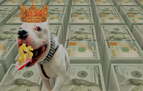 Item #14841988310440250522005790873620147993191226798072072988279030963481578831873 Media