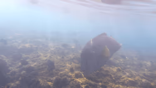 Item #32522392328516293709208538786472574869311995244495637720412795753103450177541 Media