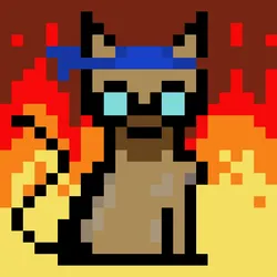 68568621670061694275886429845276246181661587958117290586321129066634527375361