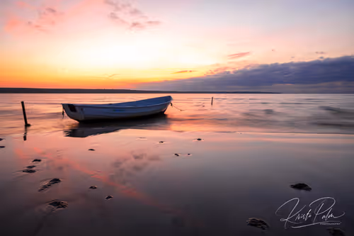 Item #75168297380136709370404646618157022904414540678160700736476761574401007157249 Media