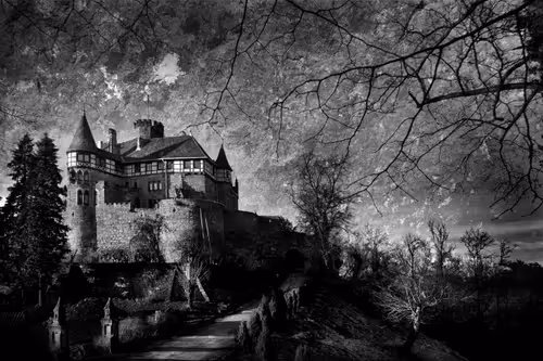 Item #40160686583094733528677484039903516258611509642019211679321071464966770393089 Media