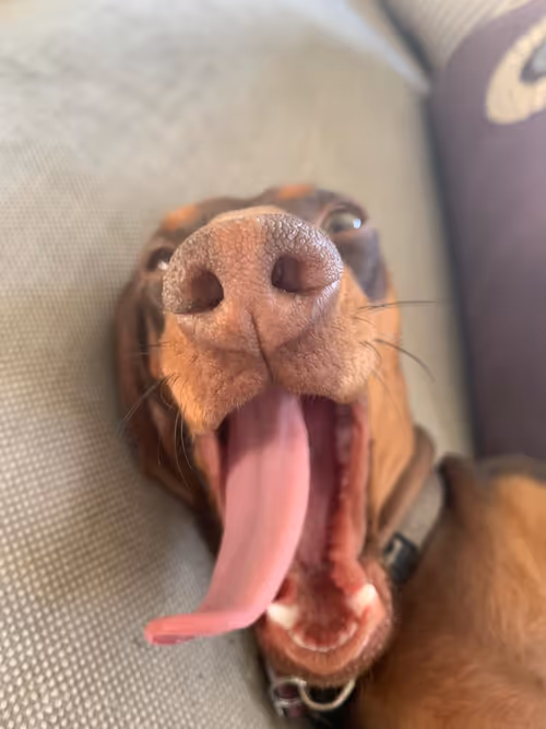 Item #776798569265540639332538067932969375733762620544368735103153864772585259009 Media