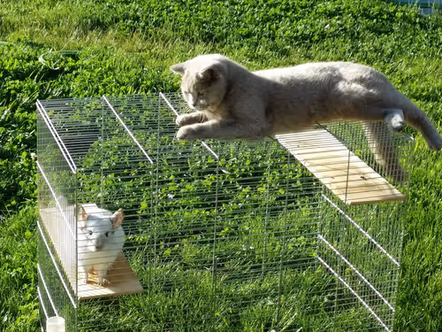 Item #100516814323253883263988332021777234412413008182040401393658401387792352411649 Media