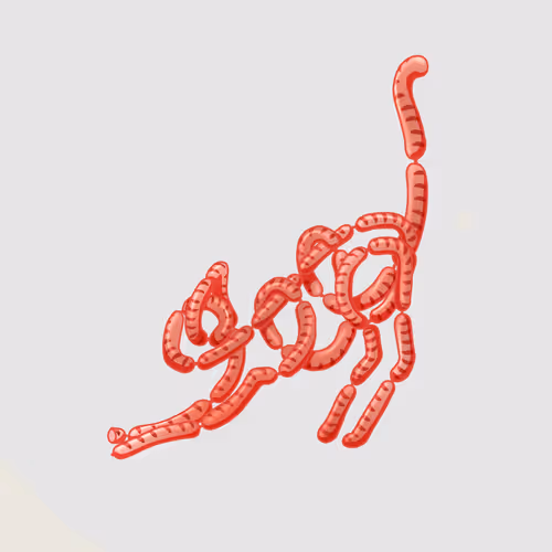 Item #19663207260109955924316601486928890298091554571143964851675771187431158579201 Media