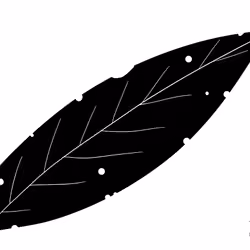 Leaf