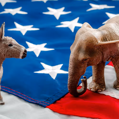 Untitled Collection #442986058