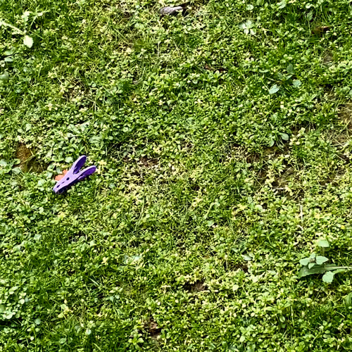 Item #62175267119956854346768101641824727859604734918017792062945530261215786303489 Media