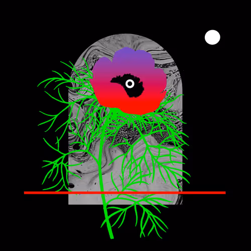 Portals Of Perception