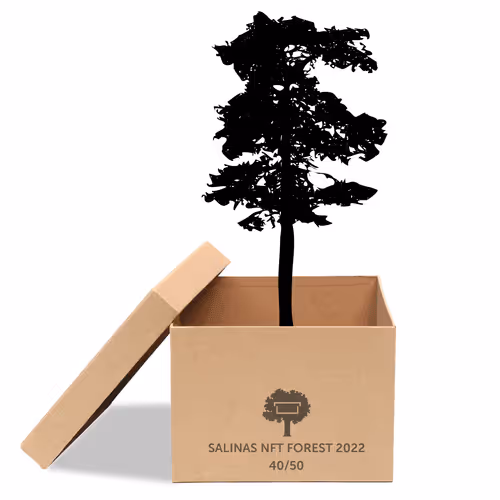 Item #63532776318757439562276927313719991273687356279339277108967620960730698743809 Media