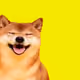 35132558306005666945989237054941300939245987658462459495312623042669102235649