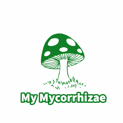 Item #50513128607800716291001204284851075840536625727922592164304407732863207735298 Media