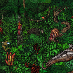 Fantastic Jungle 11/12