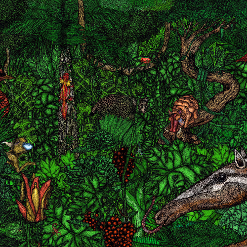 RichardPeterson Collection